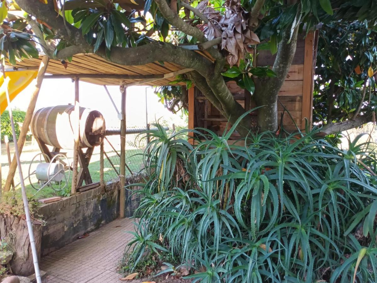 Casita Da Floresta Hotel Ferreira do Zêzere Exterior foto